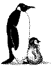 Penguinss.gif (1217 byte)