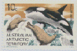 orca.GIF (44499 byte)